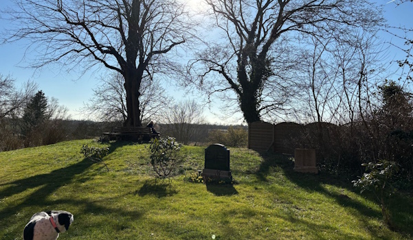 Hans guck in die Luft