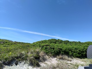 In den Dünen.