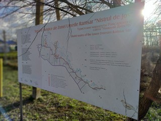 Hier mitten im Naturreservat.