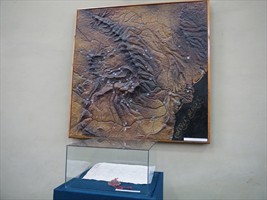 Lager und Kriegsschauplätze in den rumänischen Karpaten?