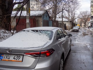 Schöner Tag. Heute fahren wir in Richtung Odessa